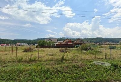 Teren Construcții intravilan de 1441 mp, în Florilor - 3