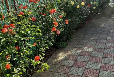 Casă cu 2 camere cu Teren 1400 Mp în Corbu - 4