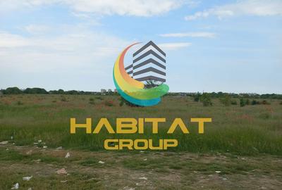 Teren de 5000 mp, în Măgurele - 2