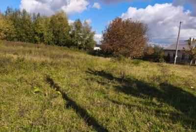 Teren intravilan, zona centrala , 2580mp, 70ml front la drum - 9