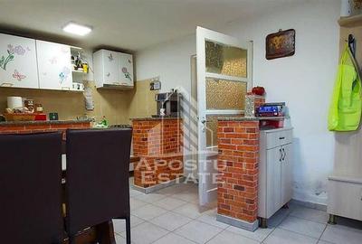 Casa individuala in Aradul Nou - 11