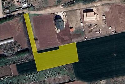 Teren excelent pozitionat la 15 min de capitala, in Caciulati - 3