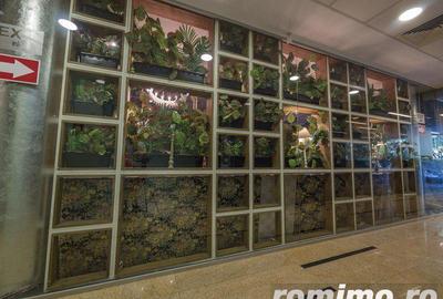 Spațiu comercial, de 5,700 mp, în Floreasca - 1