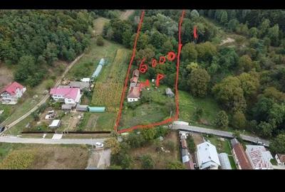 Teren de 7000 mp, în Băiculești - 7