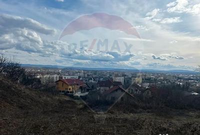 Teren de 2868 mp, în Săsar - 10