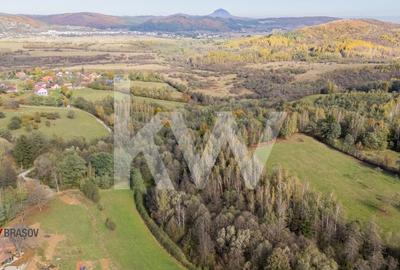 Vanzare teren intravilan 37723 mp Zarnesti Tohanita - 6