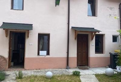 Casă individuală cu 2 camere în Sadu