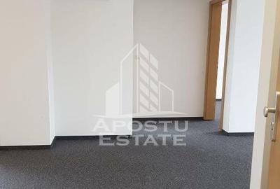 Spatiu comercial 62 mp + terasa 133 mp, Aradului - 4