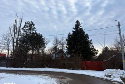 Teren de 3500 mp, în Brănești - 4