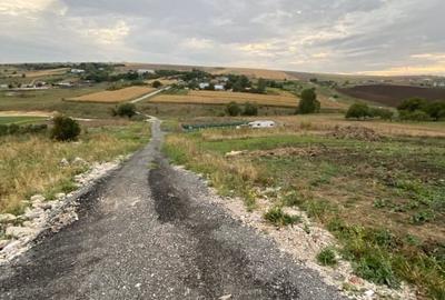 5 parcele extravilane de 600 mp fiecare pe Valea Fanatelor - 3