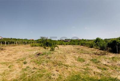 RECO Teren intravilan 1200 mp- front 30ml ,cu utilitati, Pa - 3