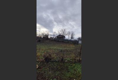 Teren Intravilan Baicoi 1061 mp - 4