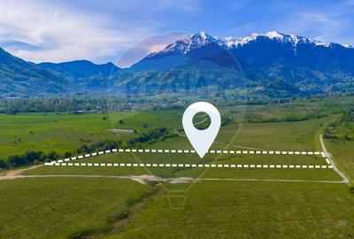 Teren agricol extravilan de 13800 mp, în Glăjărie - 1