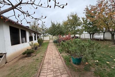 Casa D+P+M, 713 MP teren, 300 MP utili, Carcea, zona Metro - 12