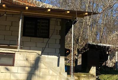 Casă în Bertea - 1
