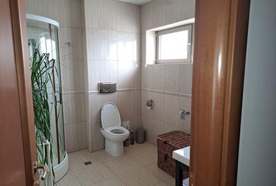 Apartament cu 2 camere semidecomandat în Capitale - 11
