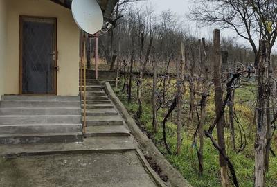 Casă în Filiași - 9