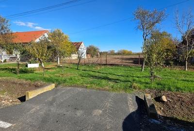Teren Construcții intravilan de 3830 mp, în Boldur - 3