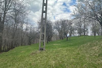 Spațiu comercial, în Central - 5