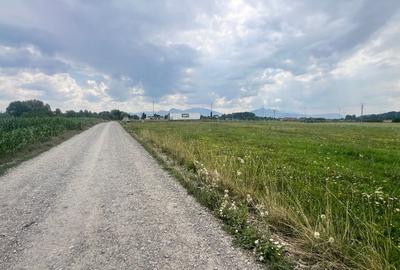 Teren Construcții extravilan de 10800 mp, în Hărman - 7