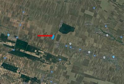 Cota de 1/4 din teren loc. Amarastii de Jos, Jud Dolj - 2