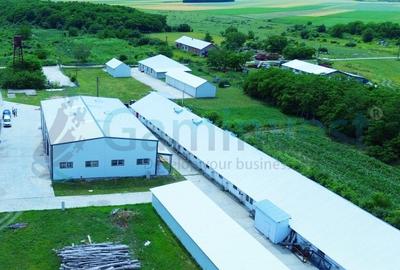 Gaminvest Hala de vanzare cu exclusivitate, la 24 km de Oradea, in Salard,V3708 - 2