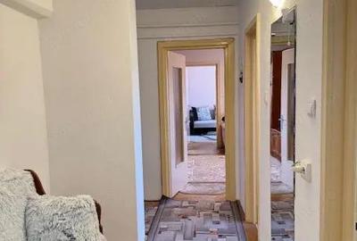 Apartament cu 3 camere semidecomandat, mobilat în Vest - 13