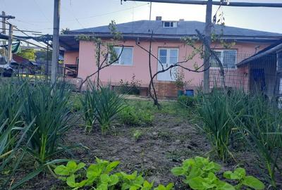 Proprietar vand casa Hemeius - 1