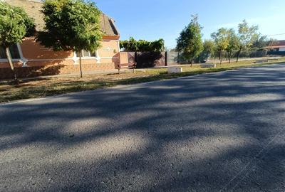 Casă cu 3 camere în Livezile - 1