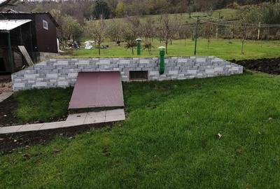 Casă cu 2 camere cu Teren 2984 Mp în Avrămești - 3