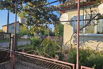 Casă cu 2 camere în Hărău - 2