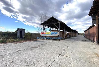 Vanzare teren cu hala Floresti Prahova-Filipestii de Padure - 22