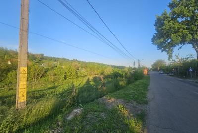 Teren Construcții intravilan de 1260 mp, în Rusenii Vechi - 2