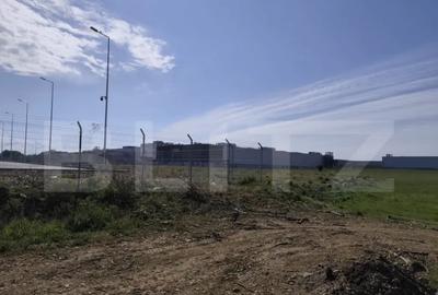 Teren de 10000 mp, în Nufărul - 2