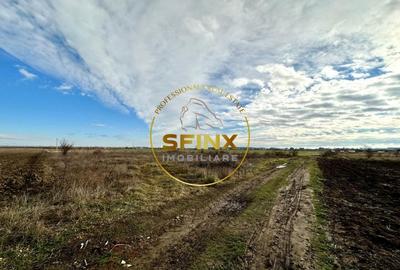 LOT de casa Tartasesti Primarie, teren cu potential - 6