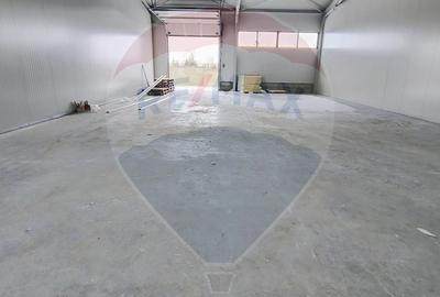 Spațiu industrial, de 200 mp, în Cernica - 4