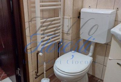 Apartament cu 2 camere, mobilat în Gruia - 3