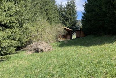 Spațiu comercial, în Central - 6