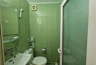 Garsoniera renovat ultracentral -Piata Alba Iulia -Matei ... - 1