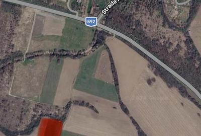 Teren de 5000 mp, în Albina