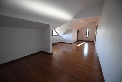 Vila renovata in apropiere de Iancu Nicolae - 15