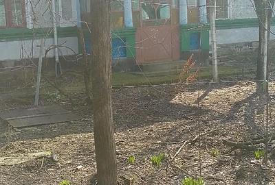 Casă cu 6 camere cu Teren 1600 Mp în Fântânele - 3