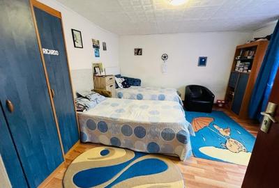 TEREN CU CASA BATRANEASCA, LA STRADA PRINCIPALA - 4