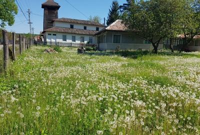 Casă individuală cu 3 camere cu Teren 3365 Mp în Bughea de Jos - 1