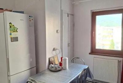Apartament 2 Camere Sacele - 2