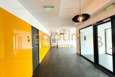 MOBILAT SI UTILAT/ ZONA LINISTITA/IANCU NICOLAE - 17