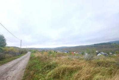 Teren de 774 mp, în Bârnova - 6