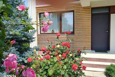 Casă cu 5 camere cu Teren 362 Mp în Mogoșoaia - 17
