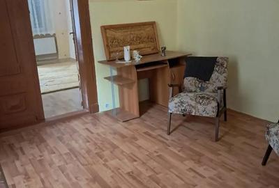 Casă cu 5 camere cu Teren 4000 Mp în Lugoj - 3