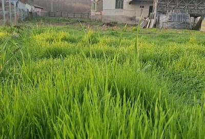 Casă în Pleșoiu (Nicolae Bălcescu) - 2